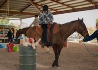 Equestrian Club Management System