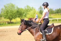 Riding Schools Management Software